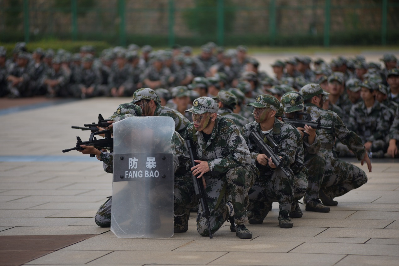 图片15