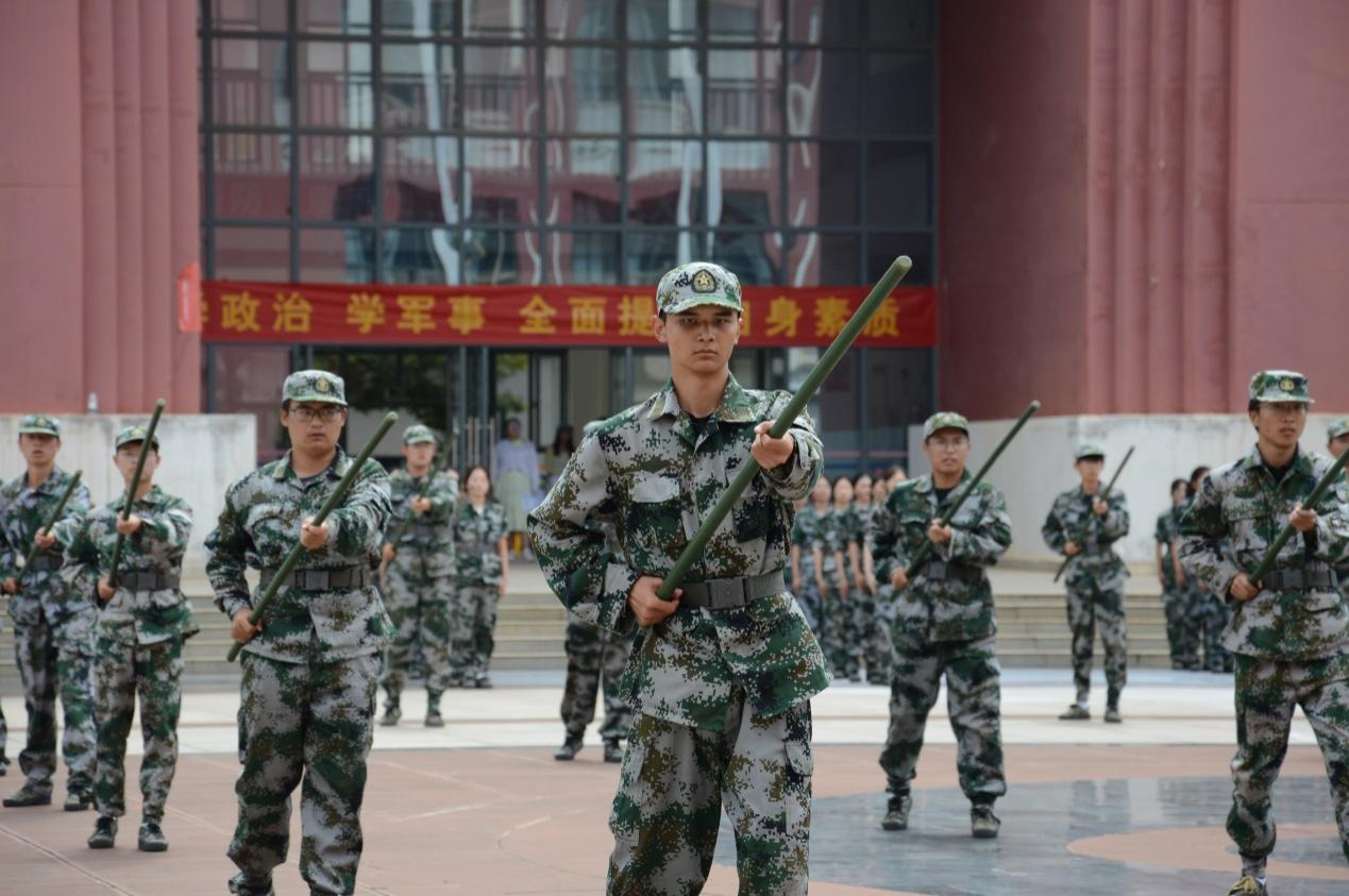 图片11
