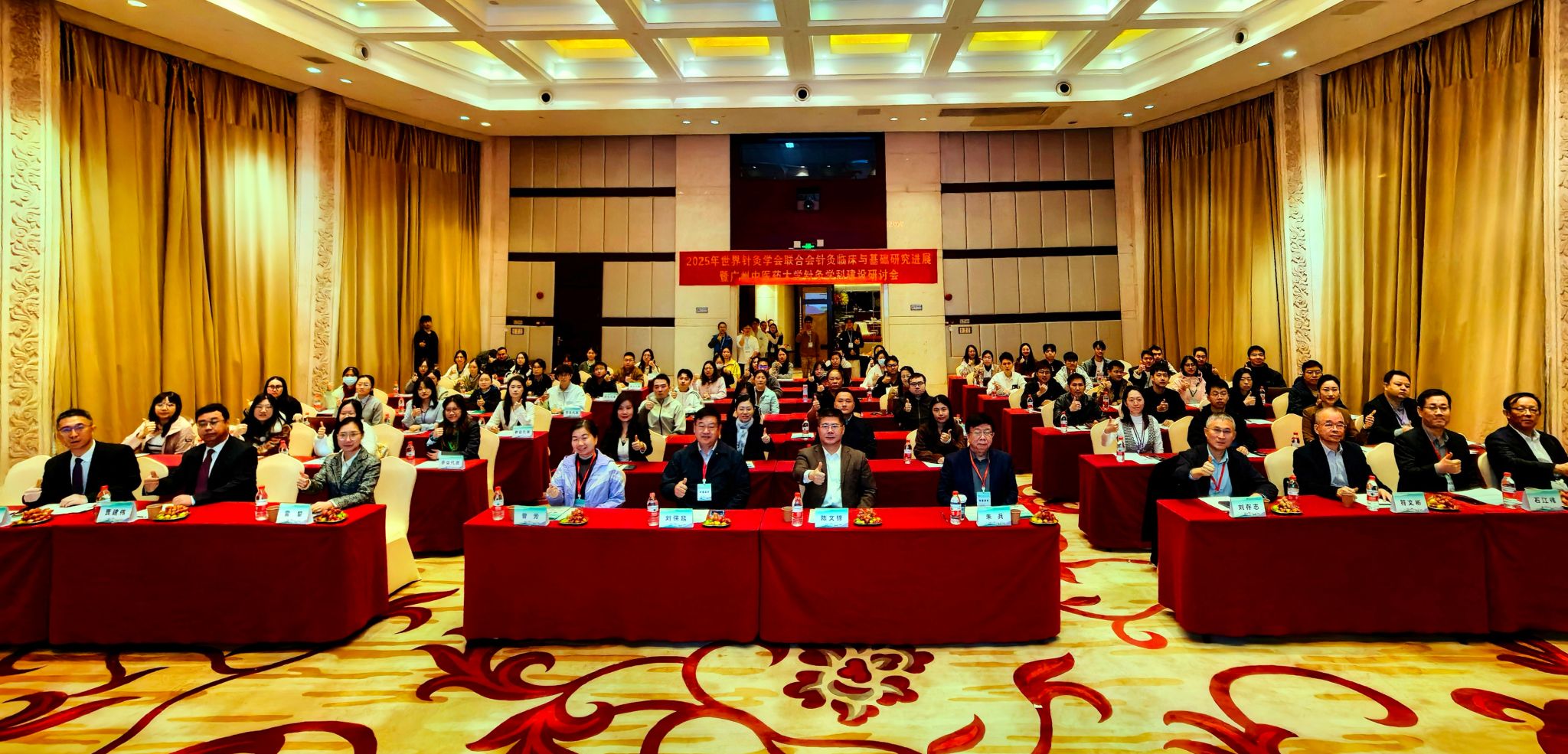 2025年世界针灸学会联合会针灸临床与基础研究进展暨mg冰球突破试玩针灸学科建设研讨会举行
